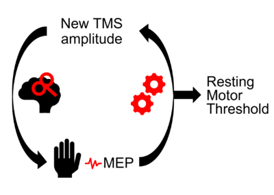 Tutorial: TMS resting motor threshold automatic estimation